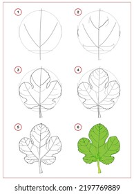 Page shows how to learn to draw step by step fig leaf. Developing children skills for drawing and coloring. Printable worksheet for kids school exercise book. Flat vector illustration.