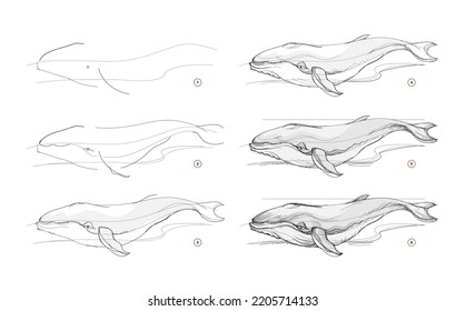 Page shows how to learn to draw sketch of whale. Creation step by step pencil drawing. Educational page for artists. Textbook for developing artistic skills. Online education. Vector illustration.