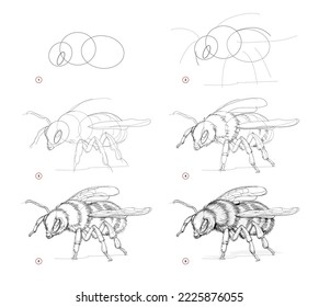 Auf der Seite wird gezeigt, wie man Hummelskizze zeichnen lernt. Erstellung Schritt für Schritt Bleistiftzeichnung. Bildungs-Seite für Künstler. Lehrbuch zur Entwicklung künstlerischer Fähigkeiten. Online-Bildung. Vektorbild.