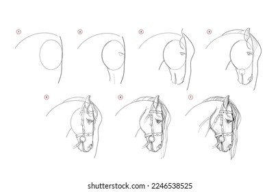 Page shows how to learn to draw sketch of horse head. Pencil drawing lessons. Educational page for artists. Textbook for developing artistic skills. Online education. Vector image.