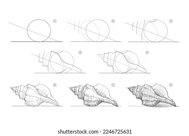 Page shows how to learn to draw sketch of sea shell. Pencil drawing lessons. Educational page for artists. Textbook for developing artistic skills. Online education. Vector image.