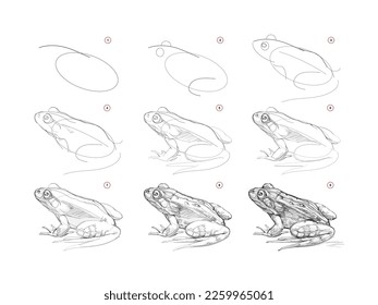 Page shows how to learn to draw sketch realistic frog  Pencil drawing lessons  Educational page for artists  Textbook for developing artistic skills  Online education  Vector illustration 