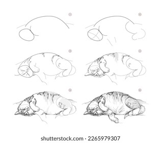 Page shows how to learn to draw sketch of cute sleeping cat. Pencil drawing lessons. Educational page for artists. Textbook for developing artistic skills. Online education. Vector illustration