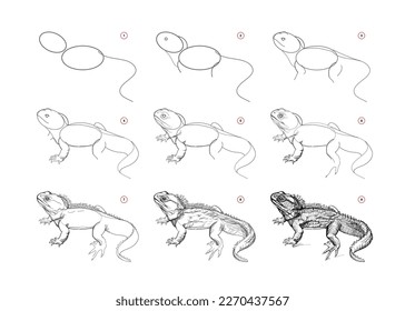 La página muestra cómo aprender a dibujar un boceto de una lagartija tuatara de Nueva Zelanda. Lecciones de dibujo a lápiz. Página educativa para artistas. Libro de texto para desarrollar habilidades artísticas. Educación en línea. Imagen vectorial.