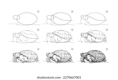 Page shows how to learn to draw sketch a desert animal turtle. Pencil drawing lessons. Educational page for artists. Textbook for developing artistic skills. Online education. Vector illustration.