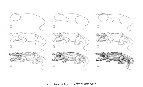 La página muestra cómo aprender a dibujar un dibujo de un caimán dudoso. Lecciones de dibujo a lápiz. Página educativa para artistas. Libro de texto para desarrollar habilidades artísticas. Educación en línea. Ilustración vectorial.