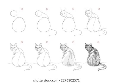 Page shows how to learn to draw sketch a sitting cat. Pencil drawing lessons. Educational page for artists. Textbook for developing artistic skills. Online education. Vector illustration.