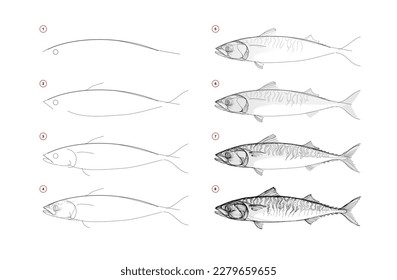 Page shows how to learn to draw sketch a fish mackerel. Pencil drawing lessons. Educational page for artists. Textbook for developing artistic skills. Online education. Vector illustration.