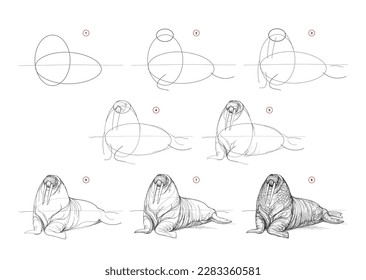 Page shows how to learn to draw sketch a walrus. Pencil drawing lessons. Educational page for artists. Textbook for developing artistic skills. Online education. Vector illustration.