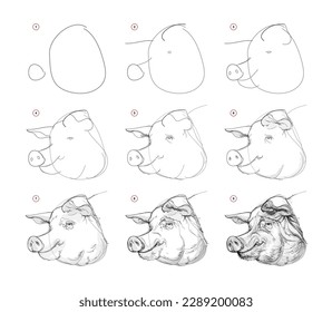 Page shows how to learn to draw sketch the head of pig. Pencil drawing lessons. Educational page for artists. Textbook for developing artistic skills. Online education. Vector illustration.