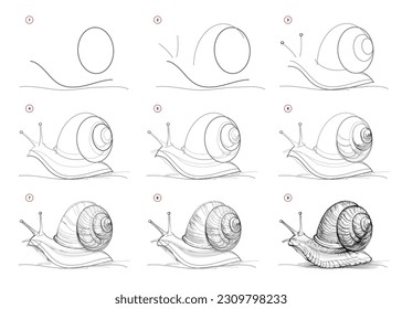 Page shows how to learn to draw from life sketch a crawling snail. Pencil drawing lessons. Educational page for artists. Textbook for developing artistic skills. Online education. Vector illustration