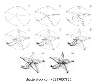 Page shows how to learn to draw from life sketch a sea starfish. Pencil drawing lessons. Educational page for artists. Textbook for developing artistic skills. Online education. Vector illustration.