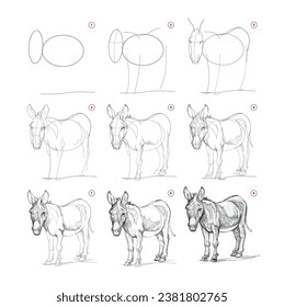 Page shows how to learn to draw from life sketch a donkey. Pencil drawing lessons. Educational page for artists. Textbook for developing artistic skills. Online education. Vector illustration.