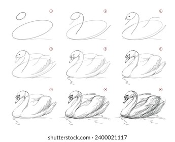 La página muestra cómo aprender a dibujar a partir de un boceto de vida un cisne de natación. Lecciones de dibujo a lápiz. Página educativa para artistas. Libro de texto para desarrollar habilidades artísticas. Educación en línea. Ilustración vectorial.