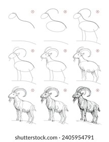 Page shows how to learn to draw from life sketch a wild mountain goat. Pencil drawing lessons. Educational page for artists. Developing artistic skills. Online education. Vector illustration.