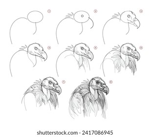 Page shows how to learn to draw from life sketch a vulture. Pencil drawing lessons. Educational page for artists. Textbook for developing artistic skills. Online education. Vector illustration.