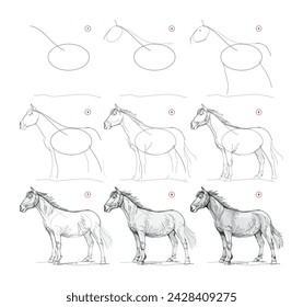 Página muestra cómo aprender a dibujar de la vida bosquejar un caballo. Lecciones de dibujo a lápiz. Página educativa para artistas. Libro de texto para desarrollar habilidades artísticas. Educación en línea. Ilustración vectorial.