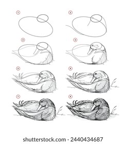 Página muestra cómo aprender a dibujar de la vida boceto un pato durmiente. Lecciones de dibujo a lápiz. Página educativa para artistas. Libro de texto para desarrollar habilidades artísticas. Educación en línea. Ilustración vectorial.