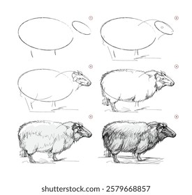 Page shows how to learn to draw from life sketch a cute sheep. Pencil drawing lessons. Educational page for artists. Textbook for developing artistic skills. Online education. Vector illustration.