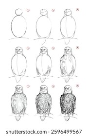 Page shows how to learn to draw from life sketch of a perched eagle. Pencil drawing lessons. Educational page for artists. Textbook for developing artistic skills. Online education. Hand drawn vector
