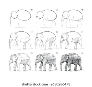 Page shows how to learn to draw from life sketch of the Asian elephant. Pencil drawing lessons. Educational page for artists. Textbook for developing artistic skills. Hand drawn vector illustration.
