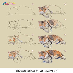 Page shows how to learn to draw from life sketch of the domestic cat. Creation step by step painting with pastel chalks. Educational page for artists. Hand drawn vector illustration.