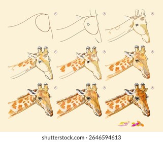 Página mostra como aprender a desenhar a partir do esboço de vida da girafa. Criação passo a passo pintura com giz pastel. Página educacional para artistas. Ilustração de vetor desenhada à mão.