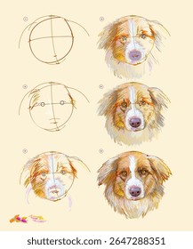Page shows how to learn to draw from life sketch of the Australian shepherd dog. Creation step by step painting with pastel chalks. Educational page for artists. Hand drawn vector illustration.