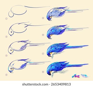 A página mostra como aprender a desenhar a partir do esboço de vida da arara-azul. Criação passo a passo pintura com giz pastel. Página educacional para artistas. Ilustração de vetor desenhada à mão.