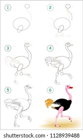 Page shows how to learn step by step to draw a cute ostrich. Developing children skills for drawing and coloring. Vector image.