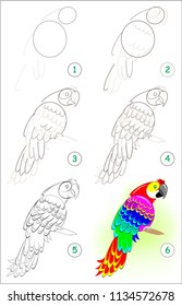 Page shows how to learn step by step to draw a cute parrot. Developing children skills for drawing and coloring. Vector image.