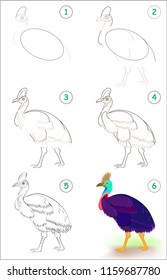 Page shows how to learn step by step to draw a cute cassowary. Developing children skills for drawing and coloring. Vector image.