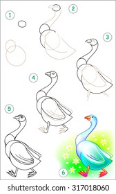 Page shows how to learn step by step to draw a goose. Developing children skills for drawing and coloring. Vector image.