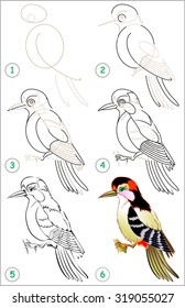 Step By Drawing Bird Images Stock Photos Vectors Shutterstock