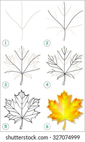 Page shows how to learn step by step to draw a maple leaf. Developing children skills for drawing and coloring. Vector image.