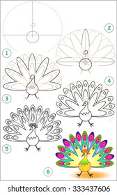 Page shows how to learn step by step to draw peacock  Developing children skills for drawing   coloring  Vector image 