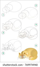 Page shows how to learn step by step to draw a sleeping cat. Developing children skills for drawing and coloring. Vector image.