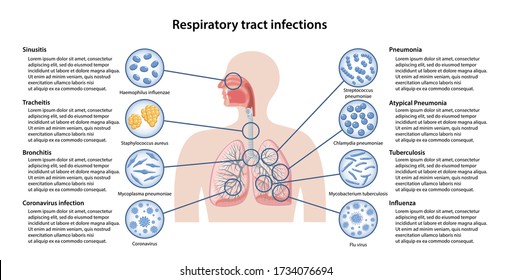 Page template with image of bacteria and description of basic respiratory tract infections: sinusitis, tracheitis, bronchitis, pneumonia, tuberculosis, influenza, coronavirus. Vector illustration