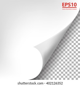 Pages curl illustration vector design