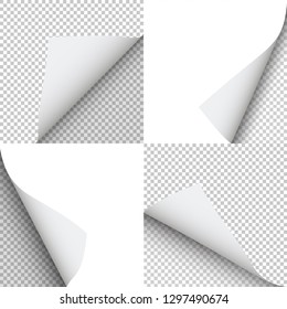Pages curl vector