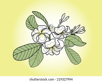 Pagoda Flower or temple flower in yellow background
