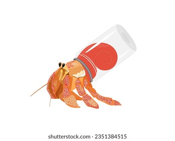 Paguroidea on a white background.