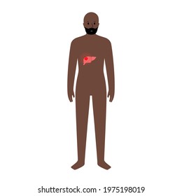 Pain or inflammation in liver. Cirrhosis and hepatitis concept. Adult black man anatomy poster. Ache in male human body. Internal organ exam. Cancer, disease in digestive system vector illustration