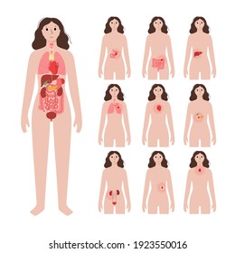 Pain in internal organs in a woman body. Problem with liver, pancreas, lungs and other organs in female silhouette. Digestive, respiratory, cardiovascular and immune systems flat vector illustration.