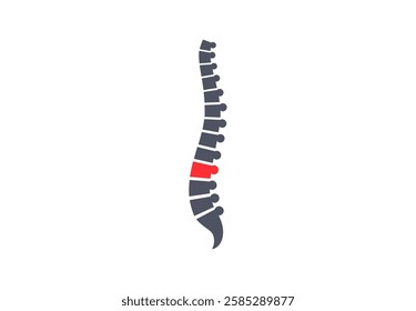 Pain in spine medical poster. Logo or icon with injured backbone for chiropractic clinic. Herniated, fractured or degenerative disc, intervertebral foramen of the human vertebrae vector illustration