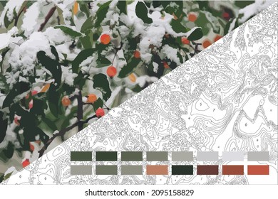 Paint by numbers custom vector design 