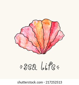 Paint shell. Sea life.
