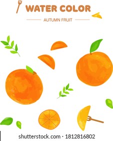 paint vector layer : watercolor fruit layer