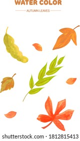 paint vector layer : watercolor leaf