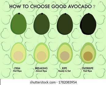 Painted avocados of different maturity. Teach everyone how to choose a good avocado.